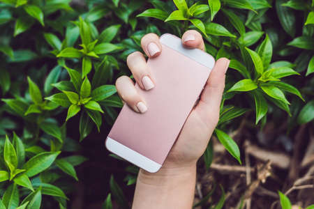 Hands with Pink Nails Hold Pink Phone.の写真素材