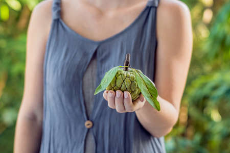 Cheremoya in beautiful female hands on a green background.