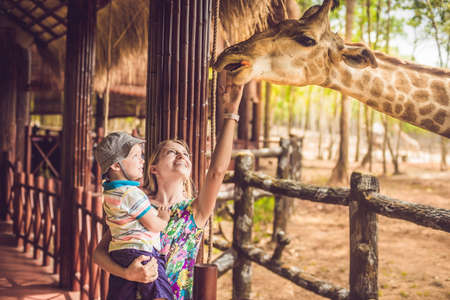 Happy mother and son watching and feeding giraffe in zoo. Happy family having fun with animals safari park on warm summer day.の写真素材