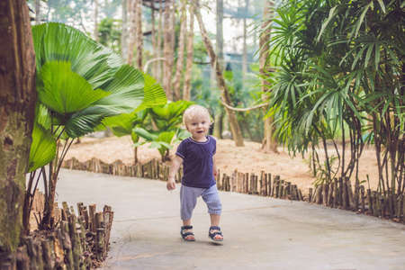 Little boy is walking in the park.の写真素材