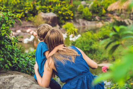 Mom and son are looking at the flock of birds of pink flamingos on a pond.の写真素材