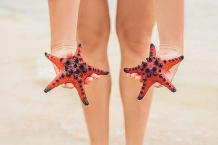 Red starfish in the hands, next to the sea.の写真素材