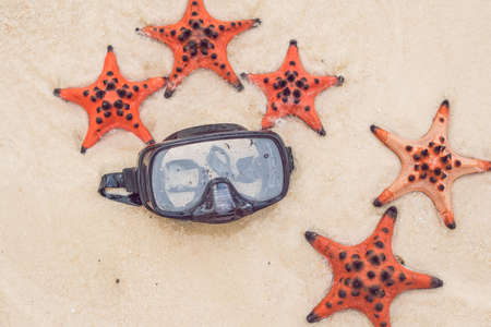 Red starfish and diving mask on the beach.の写真素材