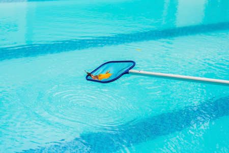 Cleaning swimming pool with cleaning net in the morning.の写真素材