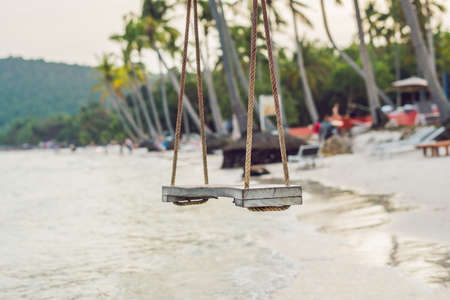 Summer, Travel, Vacation and Holiday concept - Swing hang from coconut palm tree over beach sea.の写真素材