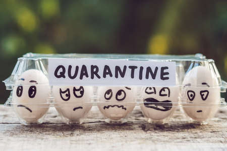 Eggs in a box, quarantine. Eggs are considered when passing quarantine at the border.の写真素材