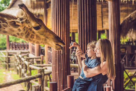 Happy mother and son watching and feeding giraffe in zoo. Happy family having fun with animals safari park on warm summer day.の写真素材
