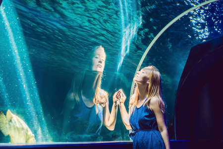 Young woman looking at fish in a tunnel aquarium.の写真素材