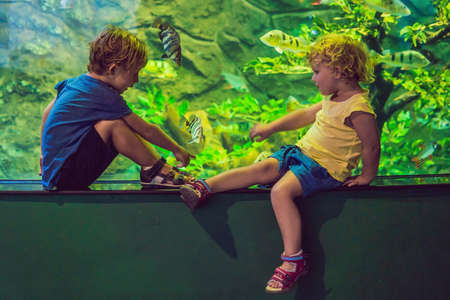 Little Boy and girl watching tropical coral fish in large sea life tank. Kids at the zoo aquarium.