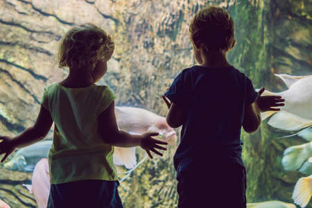 Little Boy and girl watching tropical coral fish in large sea life tank. Kids at the zoo aquarium.の写真素材