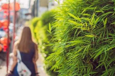 Mom and son are tourists on the Street in the Portugese style Romani in Phuket Town. Also called Chinatown or the old town. Traveling with children conceptの写真素材