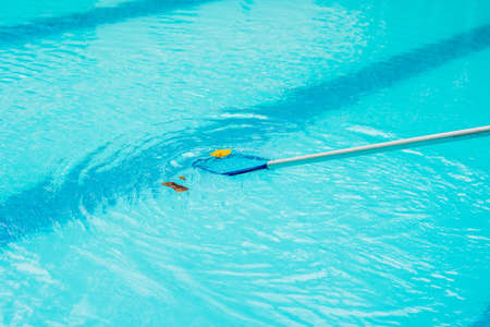 Cleaning swimming pool with cleaning net in the morning.の写真素材