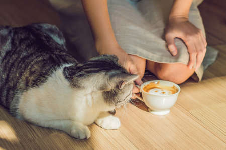 Young woman is drinking coffee and stroking the cat.の写真素材