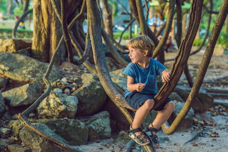 boy watching tropical lianas in wet tropical forests.の写真素材