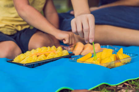 Mom and son had a picnic in the park. Eat healthy fruits - mango, pineapple and melon. Children eat...
