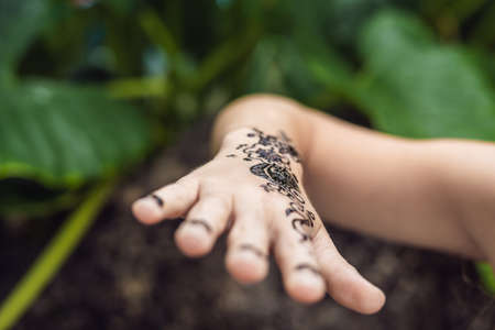 Picture of human hand decorated with henna Tattoo. mehendi hand.の写真素材