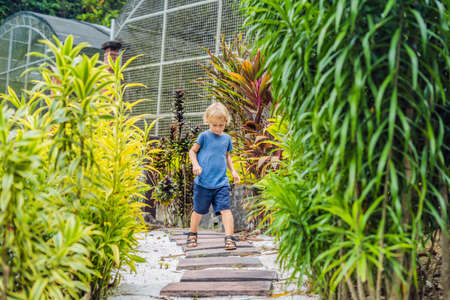 boy is walking along a path in a tropical park.の写真素材