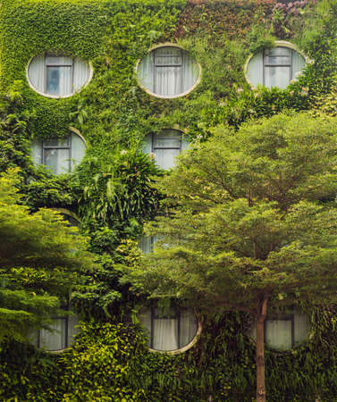 Green plants cover over a building in KL.