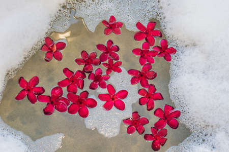Red frangipani flowers in the spa bath.