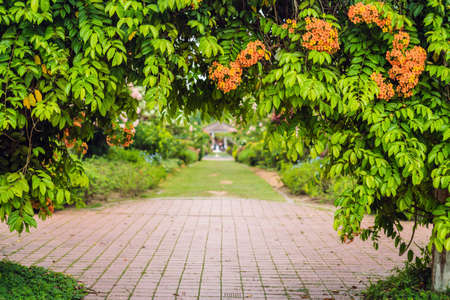 Arch of flowers at the entrance to the park.の写真素材