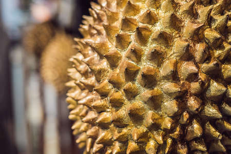 Golden durian fruit of Asia. Durian, painted with gold paint.の写真素材
