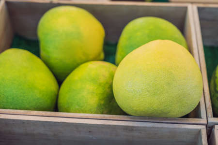 Organic pomelo or thai grapefruit for sale in market.の写真素材