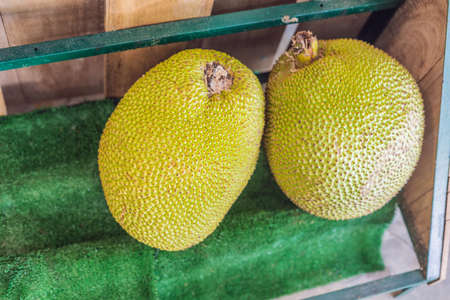 Pile fresh jackfruit for sale in the market. Fresh thai fruit for sale in street market.