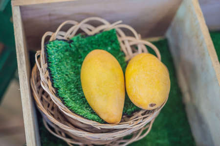 Yellow Mango on market - exotic thai fruits.の写真素材