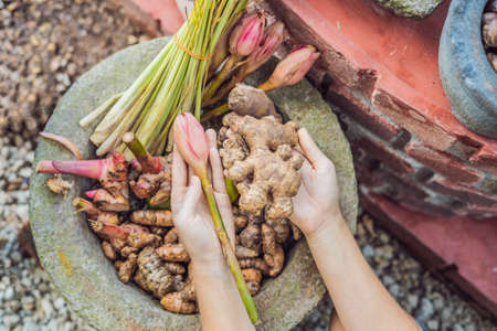 Ginger and pink ginger in female hands on a background of spices.の写真素材