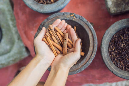 Cinnamon sticks in female hands on a background of spices.の写真素材