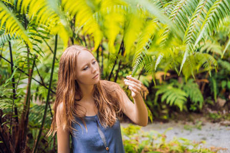 A young woman walks among the ferns.の写真素材