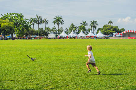 Boy on Padang Kota Lama or simply called The Padang, is the parade ground and playing field created...
