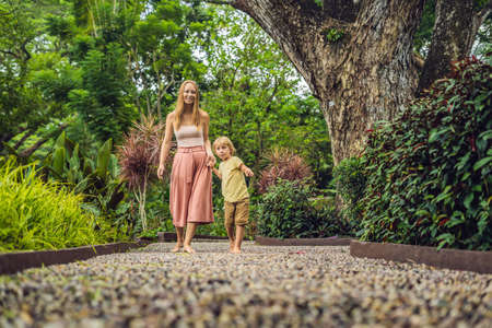 Mother and son Walking On A Textured Cobble Pavement, Reflexology. Pebble stones on the pavement for foot reflexology.の写真素材
