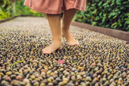 Woman Walking On A Textured Cobble Pavement, Reflexology. Pebble stones on the pavement for foot reflexology.の写真素材