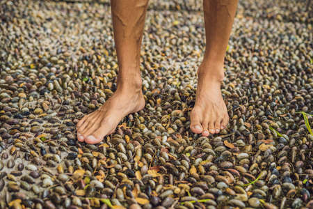 Man Walking On A Textured Cobble Pavement, Reflexology. Pebble stones on the pavement for foot reflexology.の写真素材