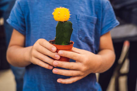 Cactus in the hands of the boy. little boy hugging his houseplant cactus.の写真素材