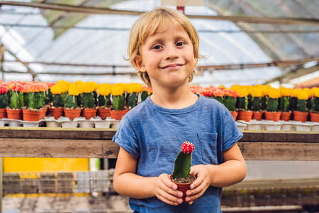 Cactus in the hands of the boy. little boy hugging his houseplant cactus.の写真素材