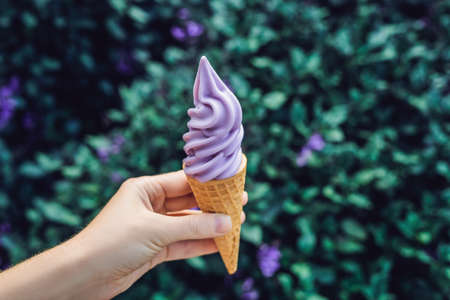A female hand holds a lavender ice cream on the background of a lavender field.の写真素材