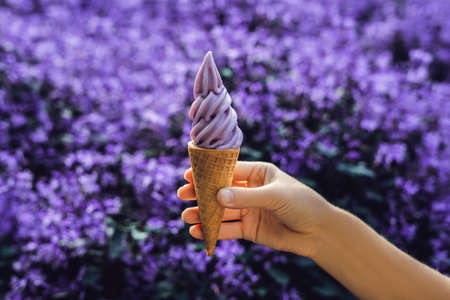 A female hand holds a lavender ice cream on the background of a lavender field.の写真素材