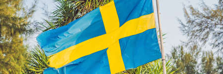 Flag of Sweden against the backdrop of palm trees. BANNER, long formatの写真素材
