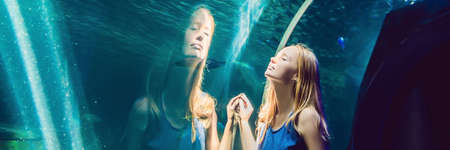 Young woman looking at fish in a tunnel aquarium. BANNER, long formatの写真素材