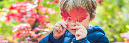 Little baby boy in the autumn park. BANNER long format