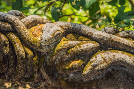 Stutue in Sacred Monkey Forest, Ubud, Bali Indonesiaの写真素材