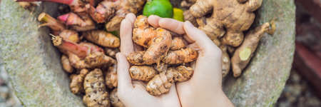 Turmeric fruits in female handsの写真素材