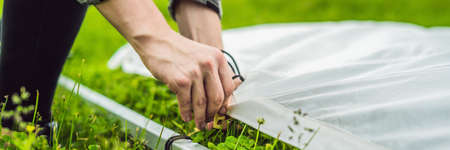 Grip team, light depurtment members prepare the lighting equipment before shooting. BANNER, long formatの写真素材