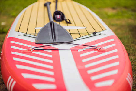 SUP boards lying on the grass by the river, lake or sea.