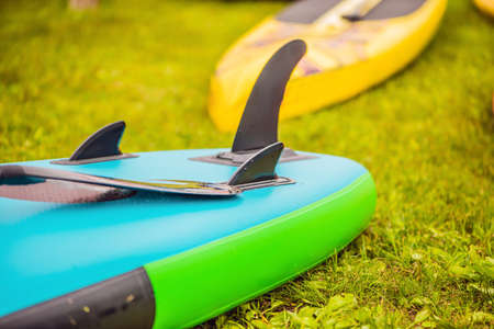 SUP boards lying on the grass by the river, lake or sea.