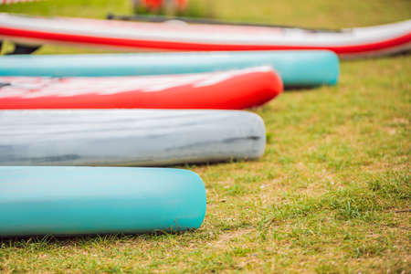 SUP boards lying on the grass by the river, lake or sea.の写真素材