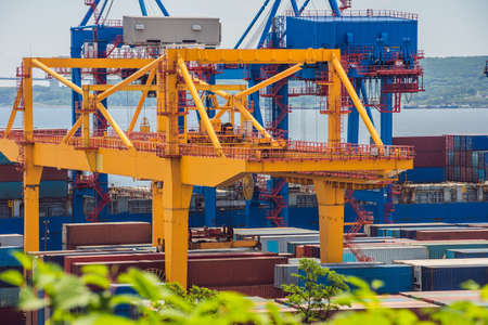 Container ship in import export and business logistic