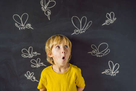 The boy is bitten by mosquitoes on a dark background. On the blackboard with chalk painted mosquitoes.の写真素材